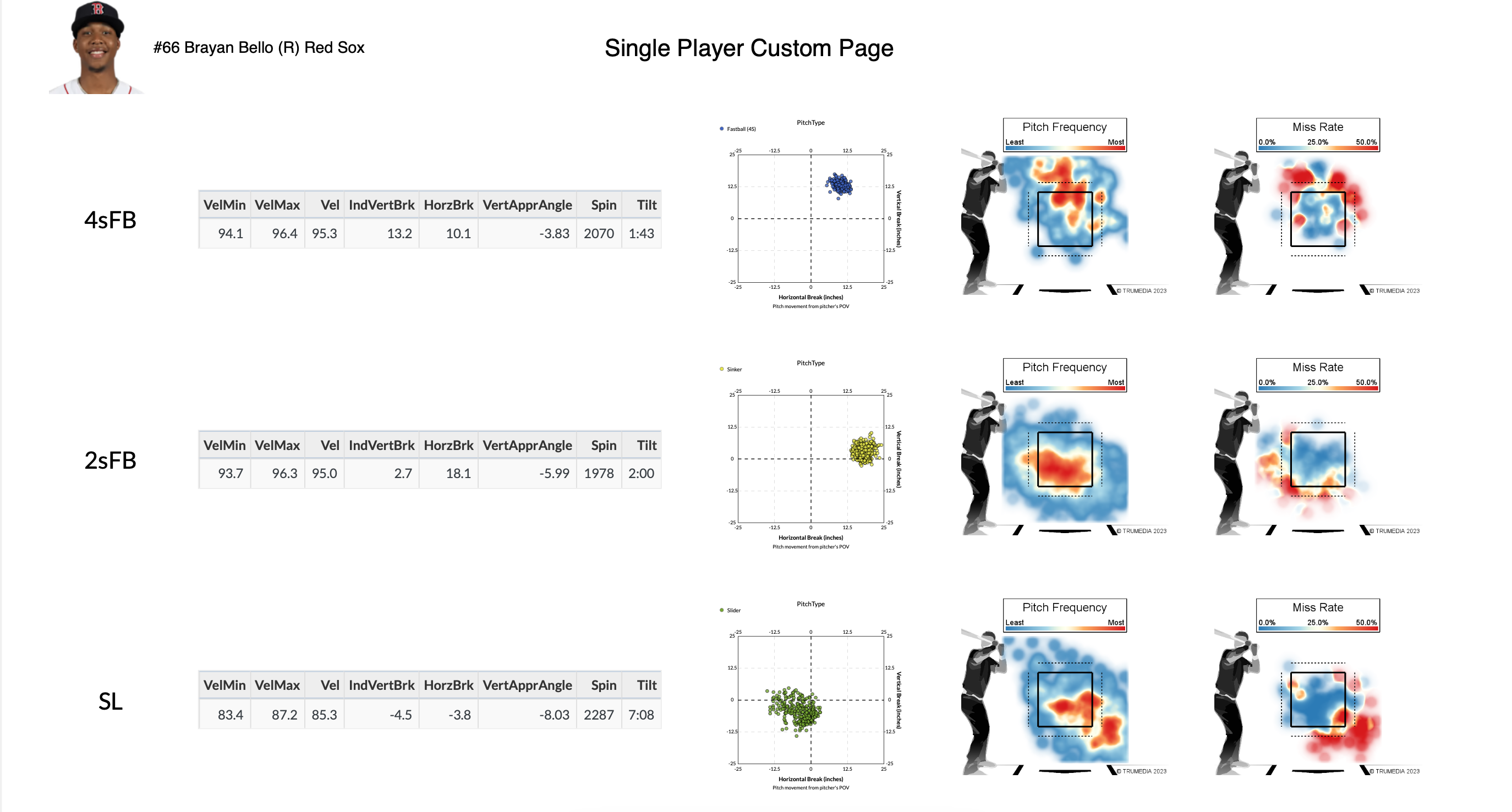 Single Player Custom Page.png